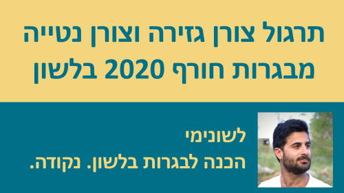 תרגול צורן גזירה וצורן נטייה מבגרות חורף 20!