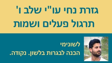 גזרת נחי עו''י שלב ו' - המדריך המלא