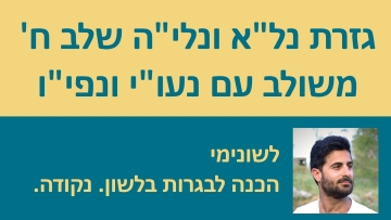 גזרת נל'א ונלי'ה שלב ח' - המדריך המלא