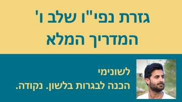 גזרת נפי''ו שלב ו׳ - המדריך המלא