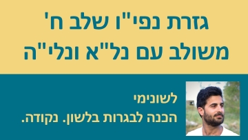 גזרת נפי''ו שלב ח' - המדריך המלא