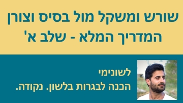 שורש ומשקל מול בסיס וצורן שלב א׳ - המדריך המלא