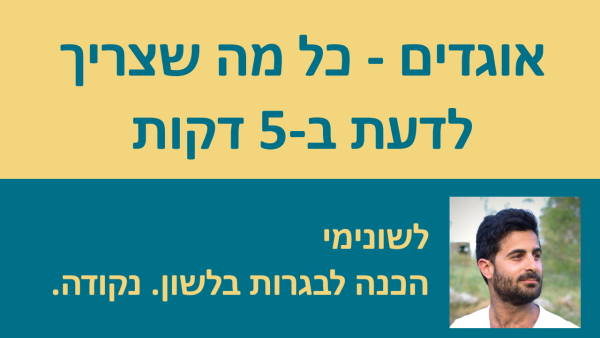 אוגדים - כל מה שצריך לדעת בחמש דקות!