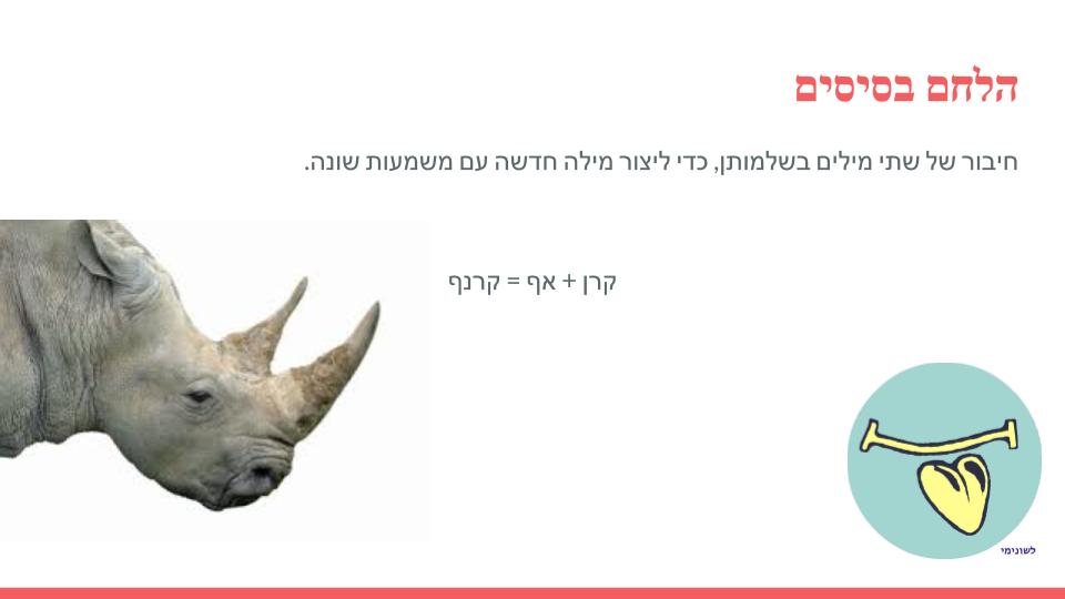 תצורת השם 2